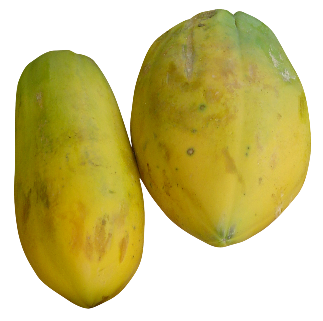 papaya images, free papaya png, papaya png image, papaya transparent png image, papaya png full hd images download